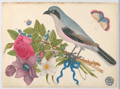 Blauer Vogel auf Rosen- und Tulpenstrauß, mit Schmetterlingen von Unknown artist