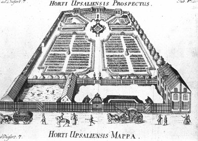 Botanischer Garten - HORTI UPSALIENSIS Prospekt und Plan von Unknown artist