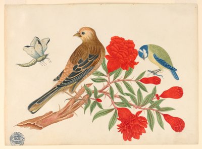 Braun-schwarzer Vogel und blau-gelber Vogel auf Zweig mit roten Blüten, jagende Insekten von Unknown artist