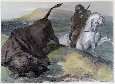 Kanadische Huron-Büffeljagd - in „Shyth