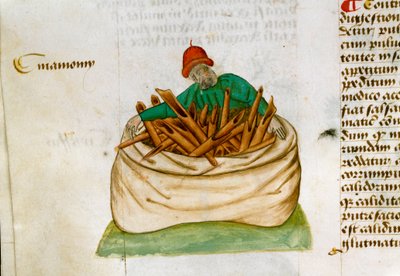 Zimthändler. Beschreibung von Heilpflanzen und deren Zubereitung. Manuskriptseite „Abhandlungen über Kräuter“ (Tractatus de herbis) von Pedanius Dioscorides (Dioskurides) (40-90 n. Chr.) Lat.1152 von Unknown artist