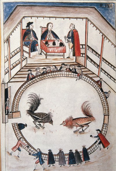 Hahnenkampf, ein Adliger wohnt dem Duell bei, aus dem Buch "Trujillo del Peru" oder "Códice Martínez Compañón", von Baltazar Martinez Compañón y Bujanda, Bischof von Trujillo (1782-1785) von Unknown artist