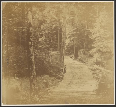 [Kordstraße auf dem Weg nach Harper