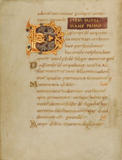 Dekorierte Initiale D von Unknown artist