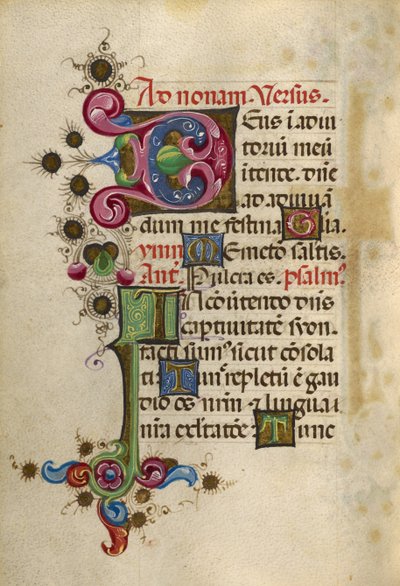 Dekoriertes Initial D; Dekoriertes Initial I von Unknown artist