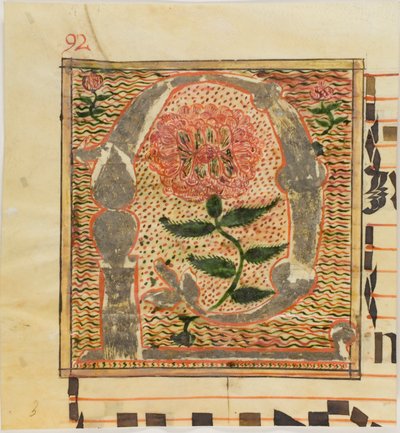 Geschmückter Initialbuchstabe "P" mit Rosen aus einem Manuskript von Unknown artist