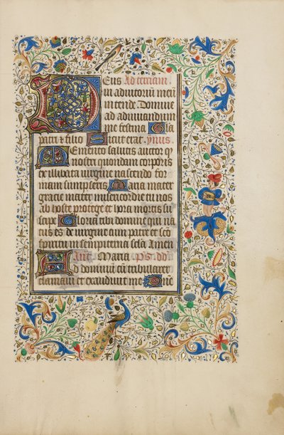 Geschmückte Textseite von Unknown artist