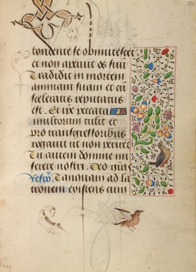 Dekorierte Textseite von Unknown artist