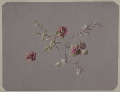Design für Tapeten und Textilien: Blumen von Unknown artist