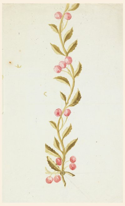 Entwurf für gewebte oder gestickte Bordüren von Unknown artist