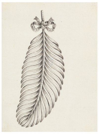 Entwurf für eine Brosche in Form einer Feder von Unknown artist
