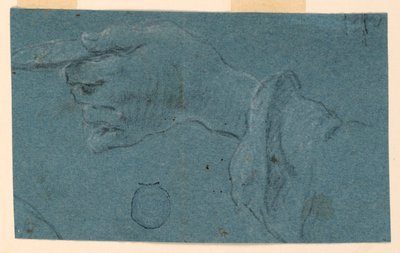 Studie einer linken Hand, die eine kleine Scheibe hält von Unknown artist
