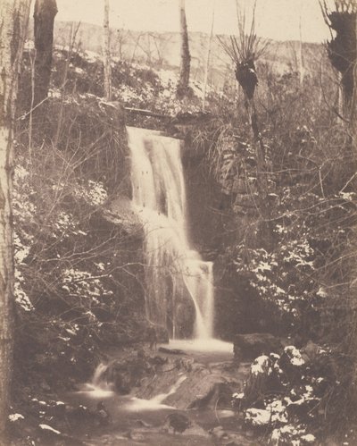 Waldszene mit Wasserfall und Bach von Unknown artist