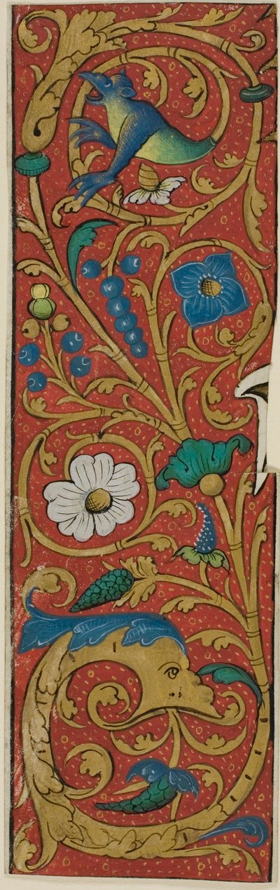 Illuminierter Rand mit Grotesken und Flora aus einem Manuskript von Unknown artist