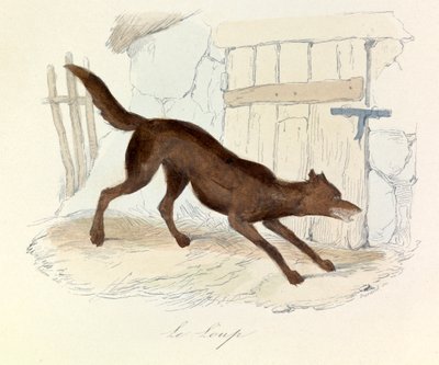 Illustration aus dem Buch "Gesammelte Werke von Buffon": Die Tiere: Der Wolf von Unknown artist