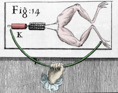 Illustration von Experimenten von Luigi Galvani, italienischer Physiker und Arzt (1737 - 1798), die den Durchgang von elektrischem Strom erklären, der die Beine eines Frosches bewegt von Unknown artist