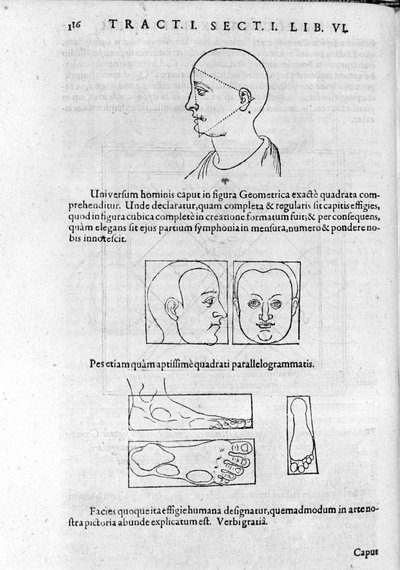 Bild der Physiognomie aus „Collectio Operum“ von Robert Fludd (Robertus de Fluctibus). London 1617 von Unknown artist