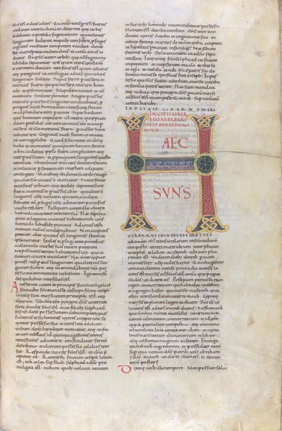 Incipit des Buches Deuteronomium, Initiale mit der Aufschrift Haec sun, XI. Jahrhundert von Unknown artist