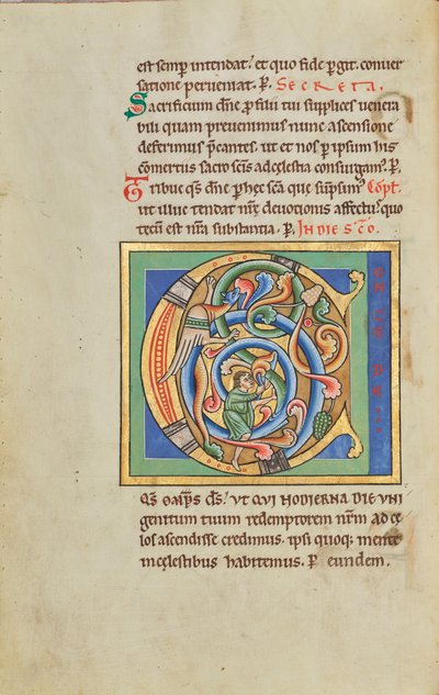 Bewohnte Initiale C von Unknown artist