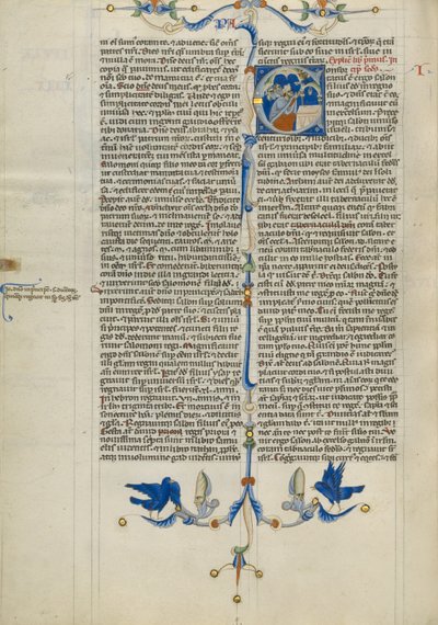 Initiale C: Salomo opfert im Tempel von Unknown artist