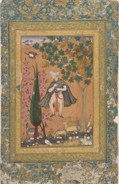 König David bezaubert Vögel und Tiere von Unknown artist