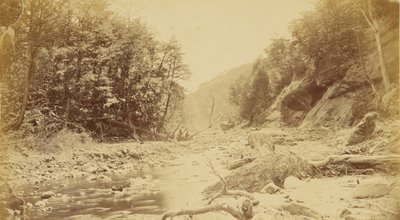 [Landschaft mit einem Fluss, möglicherweise in Südamerika] von Unknown artist