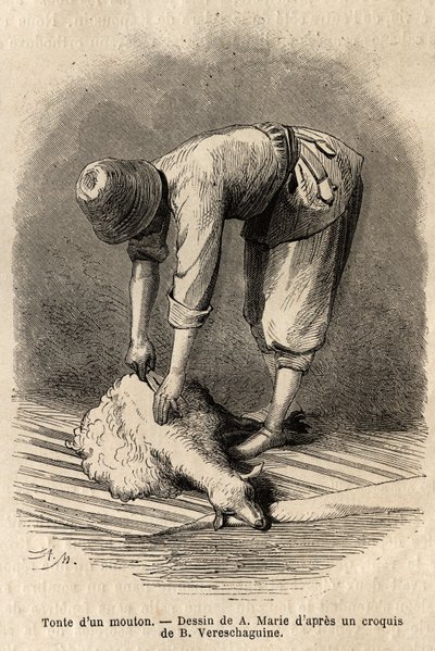 Schafschur durch einen jungen Tataren in Schuscha (Transkaukasien, Russland). Illustration der Reise in die Provinzen des Kaukasus, von Basile Vereschaguine, 1864-1865, veröffentlicht in "le tour du monde", unter der Leitung von D