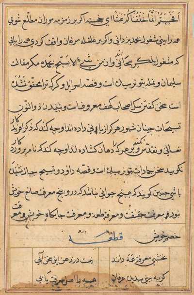 Seite aus Geschichten eines Papageis (Tuti-nama): Textseite von Unknown artist