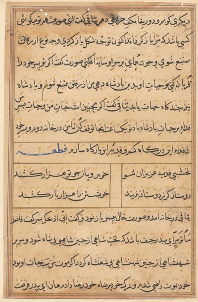 Seite aus Geschichten eines Papageis (Tuti-nama): Textseite von Unknown artist