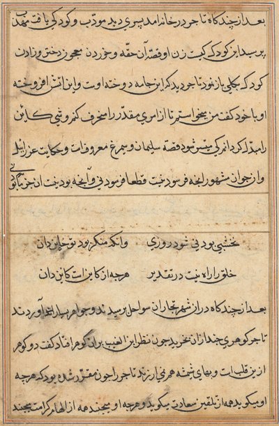 Seite aus Geschichten eines Papageis (Tuti-nama): Textseite von Unknown artist