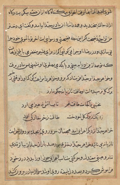Seite aus Geschichten eines Papageis (Tuti-nama): Textseite von Unknown artist