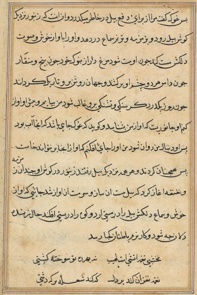 Seite aus Geschichten eines Papageis (Tuti-nama): Textseite von Unknown artist