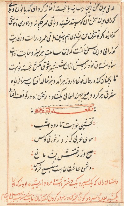 Seite aus Geschichten eines Papageis (Tuti-nama): Textseite von Unknown artist