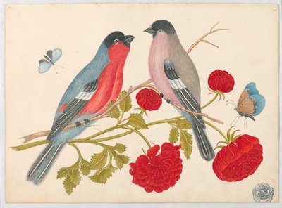 Paar Vögel auf Ast mit Rosen und Schmetterlingen von Unknown artist