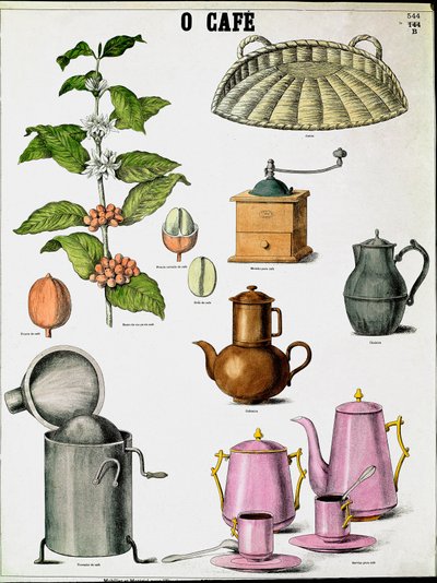 Tafel, die die verschiedenen Stadien der Kaffeeherstellung illustriert. Gravur des 19. Jahrhunderts von Unknown artist