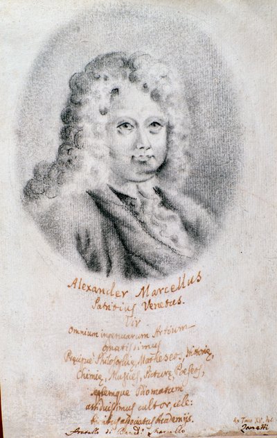 Porträt von Alessandro Marcello (Zeichnung) von Unknown artist