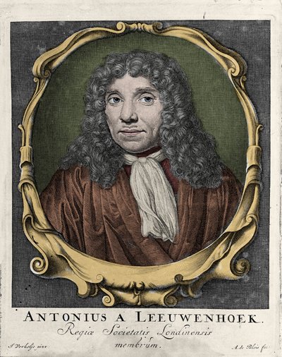 Porträt von Antonie Van Leeuwenhoek, niederländischer Naturforscher. Gravur von 1722 von Unknown artist