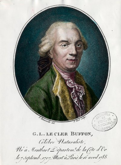 Porträt von George Louis Le Clerc, Graf von Buffon von Unknown artist