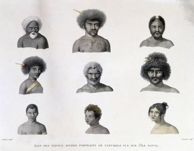 Porträts der Papua von der Insel Rawak. von Unknown artist