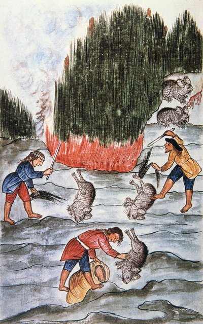 Hasenjagd, aus dem Buch "Trujillo del Peru" oder "Códice Martínez Compañón", von Baltazar Martinez Compañón y Bujanda, Bischof von Trujillo (1782-1785) von Unknown artist