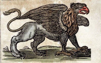 Darstellung eines Greifen, einer fantastischen Kreatur halb Adler, halb Löwe. Gravur aus einem Werk von Athanasius Kircher (1601 - 1680), Jesuit, Orientalist und Gelehrter von Unknown artist