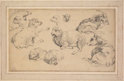 Blatt mit Studien von Schafen, Ziegen und Hunden von Unknown artist