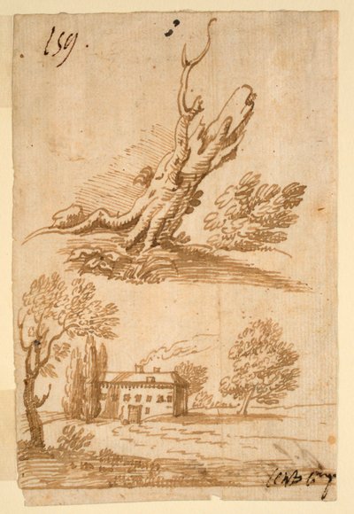 Skizzen einer Villa und eines Baumes von Unknown artist