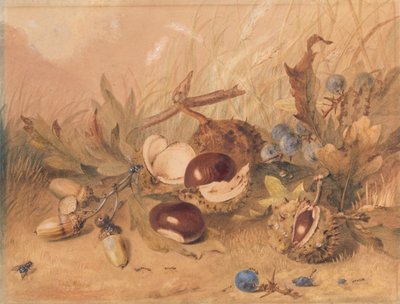 Stillleben mit Eicheln und Rosskastanien von Unknown artist