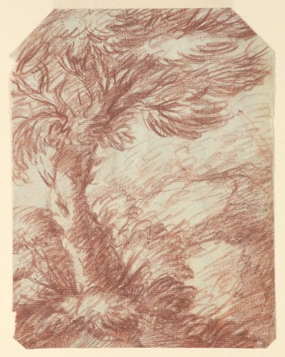Studie von Bäumen von Unknown artist