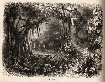 Die Yahua-Indianer von Peru lauern auf Wild, sitzen auf Ästen und bewaffnet mit Blasrohren mit vergifteten Pfeilen. Gravur zur Illustration der Reise vom Pazifischen Ozean zum Atlantischen Ozean durch Südamerika in den Jahren 1848-1860 von Paul M von Unknown artist
