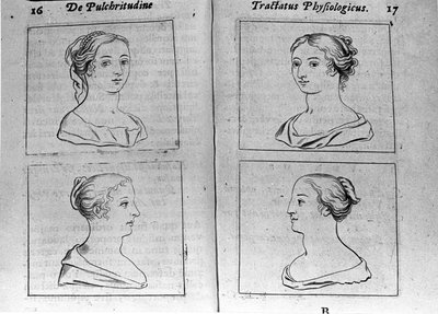 Die verschiedenen weiblichen Profile Seite aus „Tractatus physiologicus de pulchritudine“ behandelt von Ernesto Venio (Ernestus Vaenius), der die Schönheit der Schöpfung gegen einen anonymen Gegner verteidigt. 1612 von Unknown artist