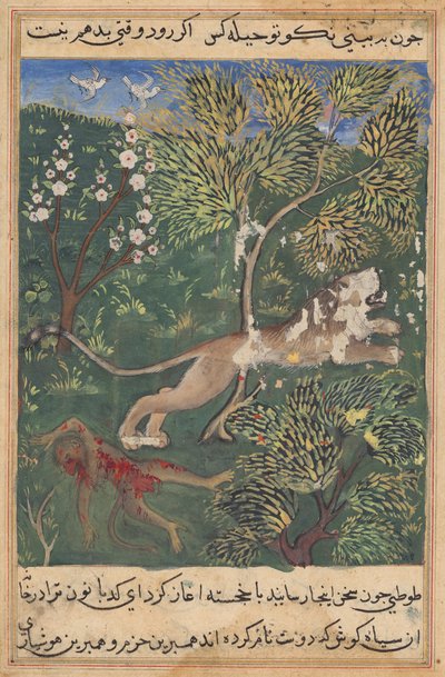 Der Löwe, der Verrat seitens des Affen vermutet, tötet ihn und flieht, aus einem Tuti-nama (Geschichten eines Papageis): Neunundzwanzigste Nacht von Unknown artist
