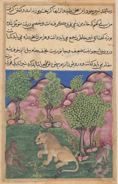 Der Affe rät dem misstrauischen Löwen, die Angst abzulegen und sein Territorium zu übernehmen, aus einem Tuti-nama (Geschichten eines Papageis): Neunundzwanzigste Nacht von Unknown artist