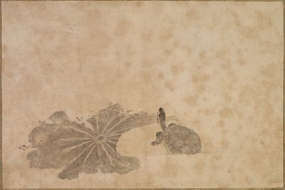 Schildkröte in einem Lotus-Teich von Unknown artist